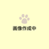 TW/Cat Lｸﾘｰｸ